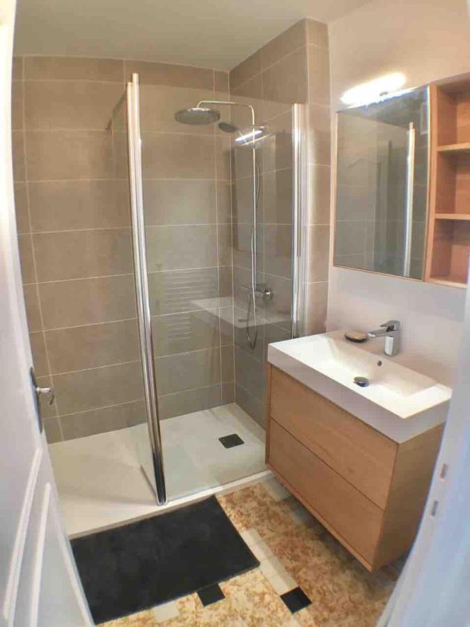 Annecy Center 2 Steps From The Lake Cozy And Renovated! Kültér fotó